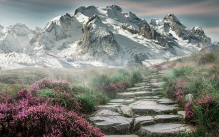 仙灵女巫是什么位置？仙灵女巫怎么玩比较厉害？