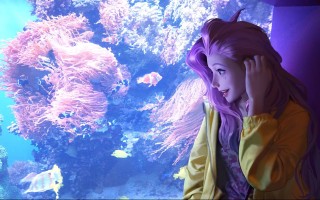 洛克王国绿灵技能表，洛克王国绿小萝